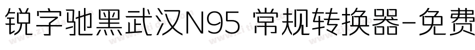 锐字驰黑武汉N95 常规转换器字体转换